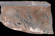 The Cult of Zeus and the Possible Location of Its Sanctuary at Antiokheia Paralios